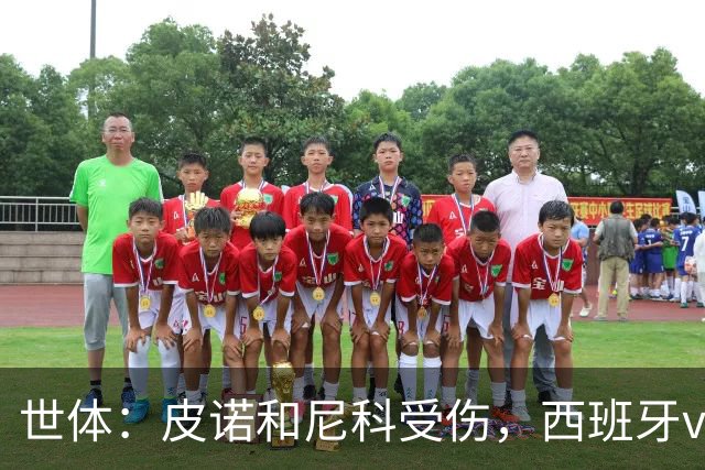 世体：皮诺和尼科受伤，西班牙vs奥地利时加维有望获得出场机会