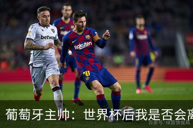 葡萄牙主帅：世界杯后我是否会离任？现在重要的是专注于世界杯